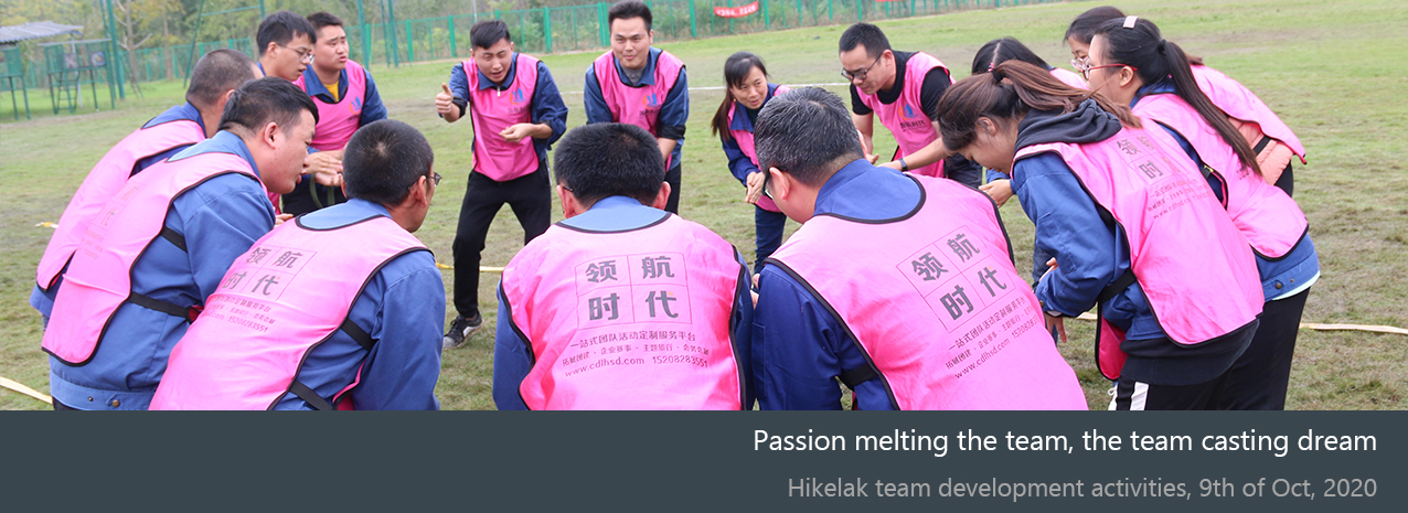 Passion Melting The Team, The Team Casting Dream